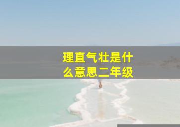 理直气壮是什么意思二年级