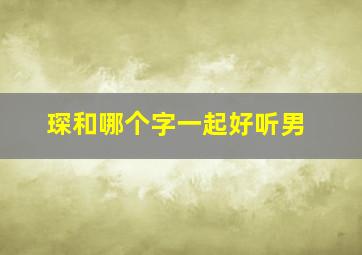 琛和哪个字一起好听男