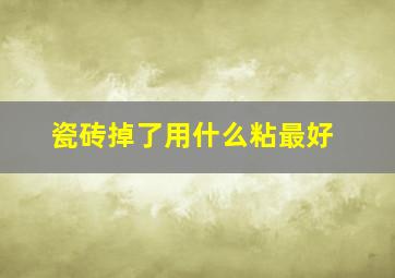 瓷砖掉了用什么粘最好