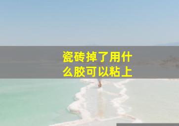 瓷砖掉了用什么胶可以粘上