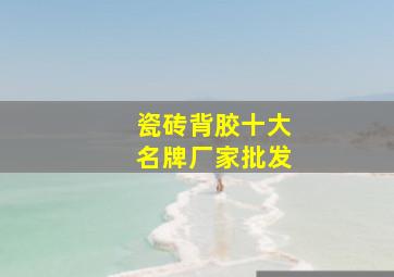 瓷砖背胶十大名牌厂家批发