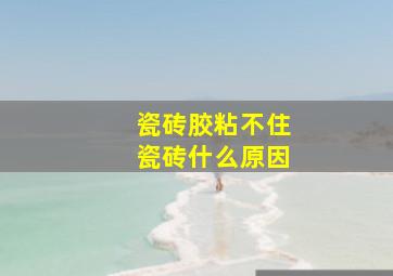 瓷砖胶粘不住瓷砖什么原因