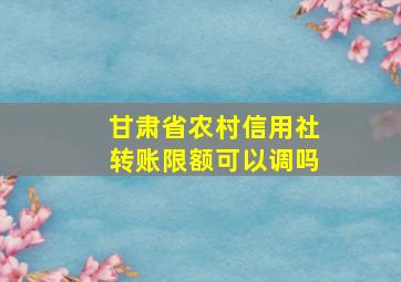 甘肃省农村信用社转账限额可以调吗