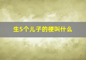 生5个儿子的梗叫什么