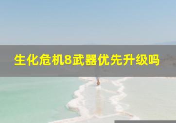 生化危机8武器优先升级吗