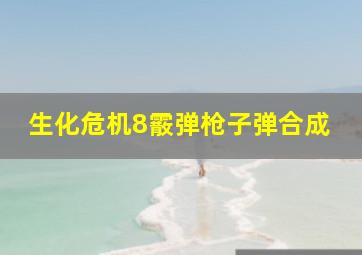 生化危机8霰弹枪子弹合成