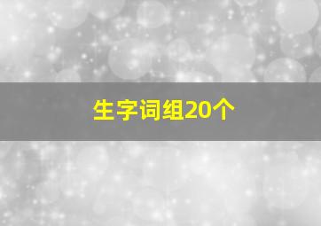 生字词组20个