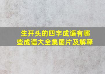 生开头的四字成语有哪些成语大全集图片及解释