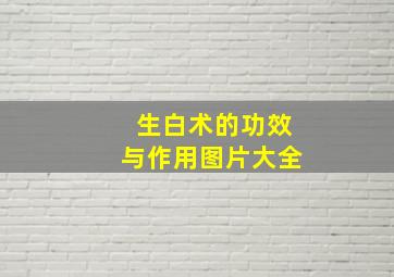 生白术的功效与作用图片大全