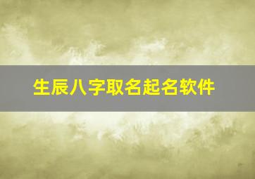 生辰八字取名起名软件