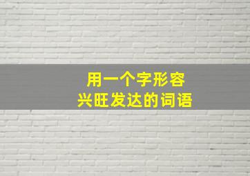 用一个字形容兴旺发达的词语