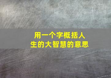 用一个字概括人生的大智慧的意思