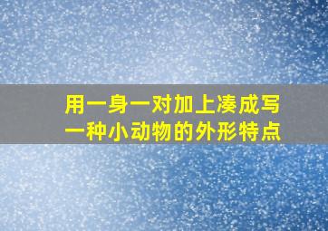 用一身一对加上凑成写一种小动物的外形特点