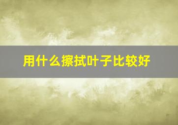 用什么擦拭叶子比较好