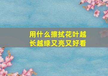 用什么擦拭花叶越长越绿又亮又好看