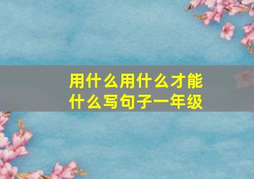 用什么用什么才能什么写句子一年级