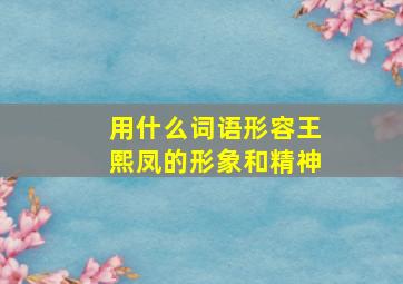 用什么词语形容王熙凤的形象和精神