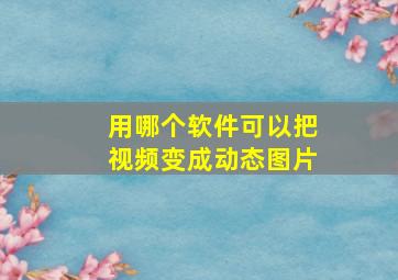 用哪个软件可以把视频变成动态图片