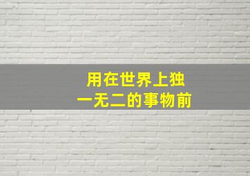 用在世界上独一无二的事物前