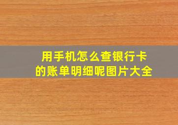 用手机怎么查银行卡的账单明细呢图片大全