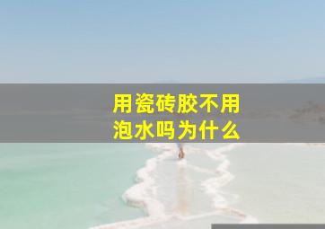 用瓷砖胶不用泡水吗为什么