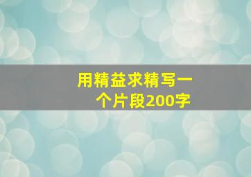 用精益求精写一个片段200字