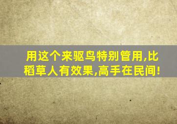 用这个来驱鸟特别管用,比稻草人有效果,高手在民间!