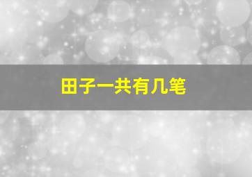 田子一共有几笔