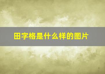 田字格是什么样的图片