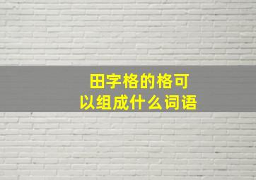 田字格的格可以组成什么词语