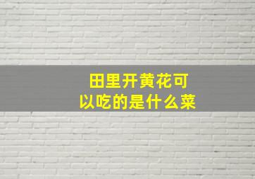 田里开黄花可以吃的是什么菜