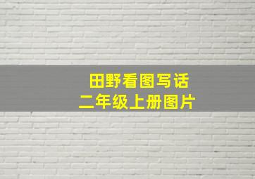 田野看图写话二年级上册图片