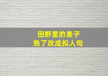 田野里的麦子熟了改成拟人句