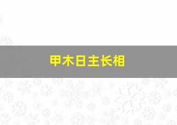 甲木日主长相