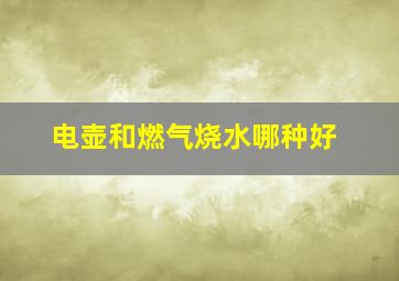 电壶和燃气烧水哪种好