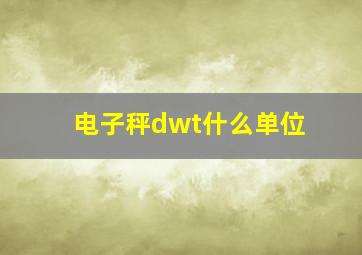 电子秤dwt什么单位