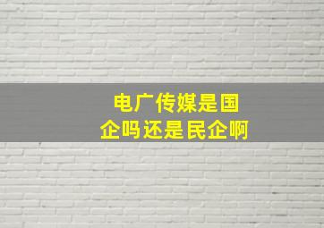 电广传媒是国企吗还是民企啊