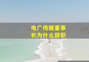 电广传媒董事长为什么辞职