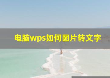 电脑wps如何图片转文字