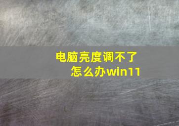 电脑亮度调不了怎么办win11