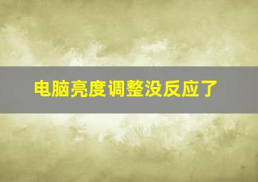 电脑亮度调整没反应了