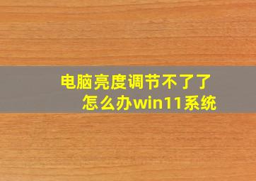 电脑亮度调节不了了怎么办win11系统