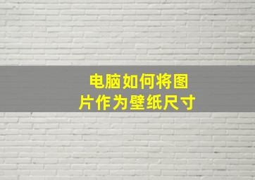 电脑如何将图片作为壁纸尺寸