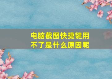 电脑截图快捷键用不了是什么原因呢