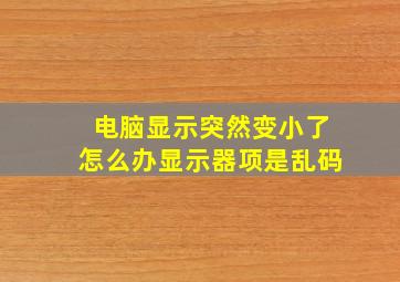 电脑显示突然变小了怎么办显示器项是乱码