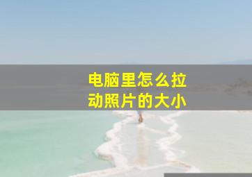 电脑里怎么拉动照片的大小