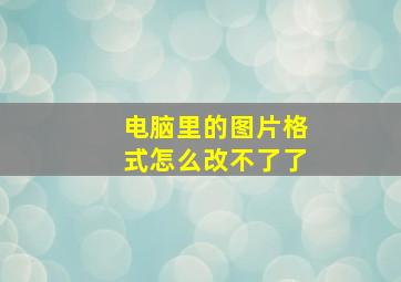 电脑里的图片格式怎么改不了了