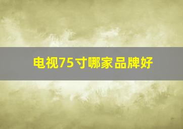 电视75寸哪家品牌好