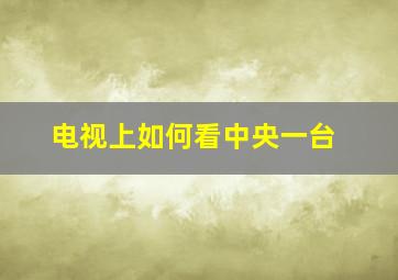 电视上如何看中央一台