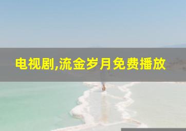 电视剧,流金岁月免费播放